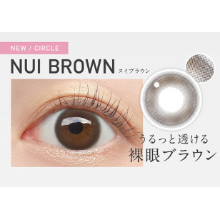 [預訂7-10天]Revia 1day Nui Brown レヴィア ワンデー ヌイブラウン