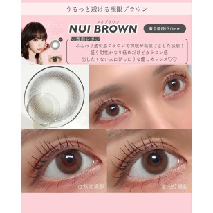 [預訂7-10天]Revia 1day Nui Brown レヴィア ワンデー ヌイブラウン