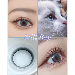 [預訂7-10天]Revia 1day Still Ray レヴィア ワンデー スティルレイ