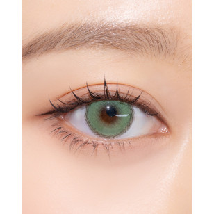 [1Day and 1Month]Siesta Sahara Olive 사하라 올리브
