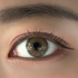 [1Day and 1Month]Siesta Sahara Fox 사하라 폭스