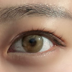 [1Day and 1Month]Siesta Sahara Fox 사하라 폭스