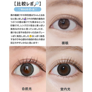 [1Day]TOPARDS Cat Pearl トパーズ キャットパール