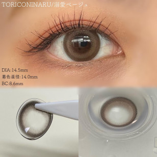 TORICONINARU Dekiai beige トリコニナル 溺愛ベージュ