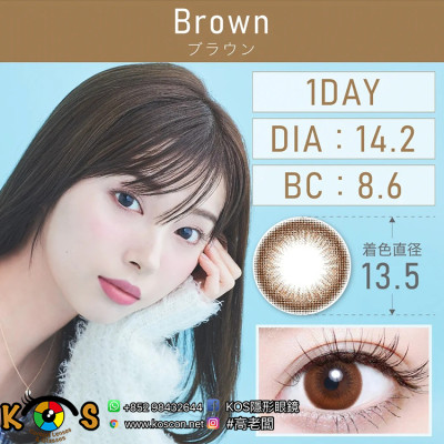 TeAmo 1Day Brown ティアモ ワンデー ブラウン TeAmo 1Day Brown ティアモ ワンデー ブラウン