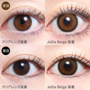 TeAmo 1Day Jellia Beige TORIC ティアモ ワンデー ジェリアベージュ(乱視用)