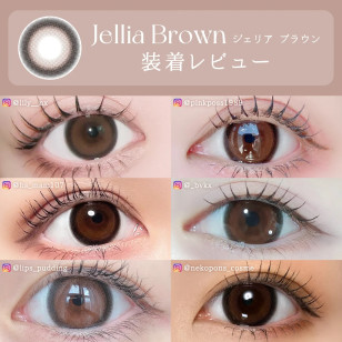 TeAmo 1Day Jellia Brown TORIC ティアモ ワンデー ジェリアブラウン(乱視用)