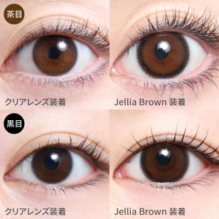 TeAmo 1Day Jellia Brown TORIC ティアモ ワンデー ジェリアブラウン(乱視用)