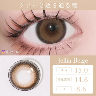 TeAmo 1Day Jellia Beige TORIC ティアモ ワンデー ジェリアベージュ(乱視用)
