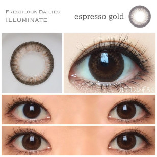 Alcon Freslook 1Day Espresso Gold