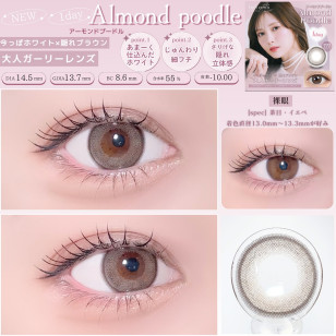 [1Day and 1Month]feliamo Almond Poodle フェリアモ アーモンドプードル