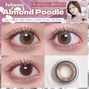 [1Day and 1Month]feliamo Almond Poodle フェリアモ アーモンドプードル