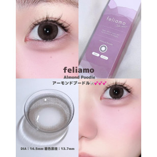[1Day and 1Month]feliamo Almond Poodle フェリアモ アーモンドプードル