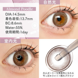 [1Day and 1Month]feliamo Almond Poodle フェリアモ アーモンドプードル