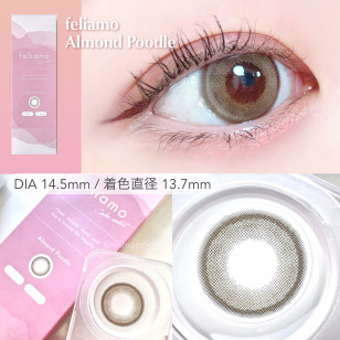 [1Day and 1Month]feliamo Almond Poodle フェリアモ アーモンドプードル