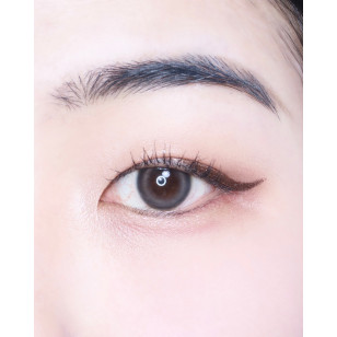 [1Day and 1Month]Lensme PANDEIA Gray 판데이아 그레이