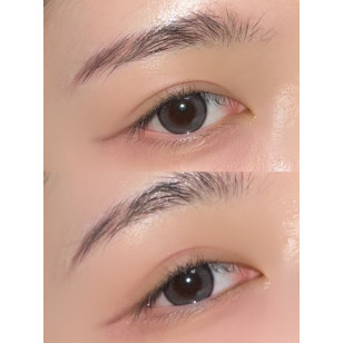 [1Day and 1Month]Lensme Ashiz Gray 애쉬즈 그레이