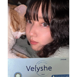 Lensme AKMA 1day Velyshe Brown 악마 원데이 블리쉬 브라운