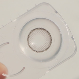 [1Day and 1Month]Lensme Yous Fit Gray 유스핏 그레이