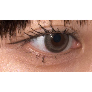 Lensme AKMA 1day Velyshe Brown 악마 원데이 블리쉬 브라운