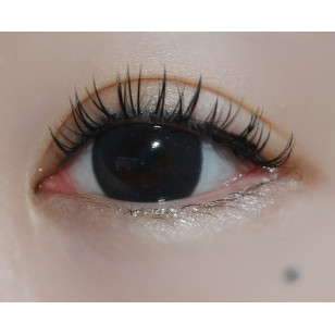 Lensme AKMA 1day Beso Black 악마 원데이 베소 블랙