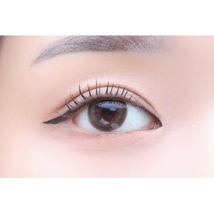 Lensme AKMA 1day Velyshe Brown 악마 원데이 블리쉬 브라운