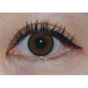 [1Day and 1Month]Lensme Yous Fit Brown 유스핏 브라운