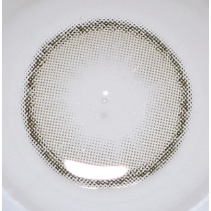 [1Day and 1Month]Lensme Yous Fit Gray 유스핏 그레이