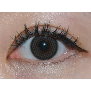 [1Day and 1Month]Lensme Yous Fit Gray 유스핏 그레이