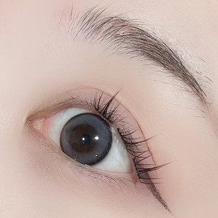 [1Day and 1Month]Lensme Ashiz Gray 애쉬즈 그레이