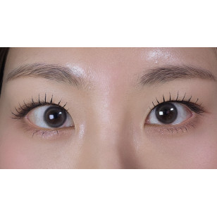 [1Day and 1Month]Lensme PANDEIA Gray 판데이아 그레이