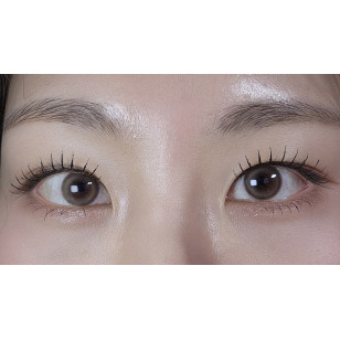 [1Day and 1Month]Lensme PANDEIA Begie 판데이아 베이지