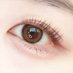 【散光】Lensme Torica Waterring Toneup Brown 토리카 워터링 톤업브라운 (난시 교정용)  每月抛棄散光彩妝隱形眼鏡