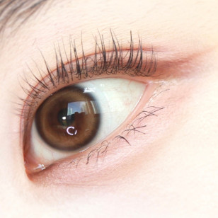 【散光】Lensme Torica Waterring Toneup Brown 토리카 워터링 톤업브라운 (난시 교정용)  每月抛棄散光彩妝隱形眼鏡