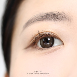 Lenstown Back to Basic DOLCEBABA 백투베이직 돌체바바 애쉬베이지 Ash Beige
