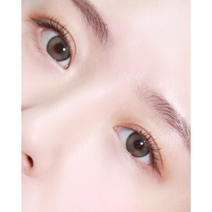 Lenstown Back to Basic DOLCEBABA 백투베이직 돌체바바 애쉬베이지 Ash Beige