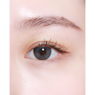 Lenstown Back to Basic DOLCEBABA 백투베이직 돌체바바 애쉬그레이 Ash Gray