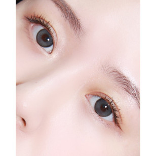 Lenstown Back to Basic DOLCEBABA 백투베이직 돌체바바 애쉬그레이 Ash Gray