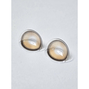 Lenstown Back to Basic DOLCEBABA 백투베이직 돌체바바 애쉬베이지 Ash Beige