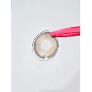 Lenstown Back to Basic DOLCEBABA 백투베이직 돌체바바 애쉬베이지 Ash Beige
