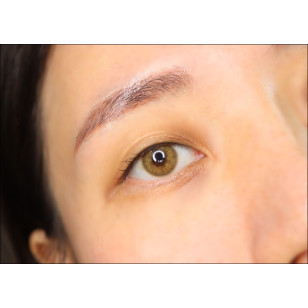 Romantea Venice Brown 로맨티베니스 브라운(月拋)