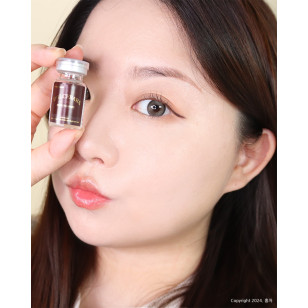Lenstown Back to Basic DOLCEBABA 백투베이직 돌체바바 애쉬베이지 Ash Beige
