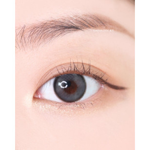 Lenstown Back to Basic DOLCEBABA 백투베이직 돌체바바 애쉬그레이 Ash Gray