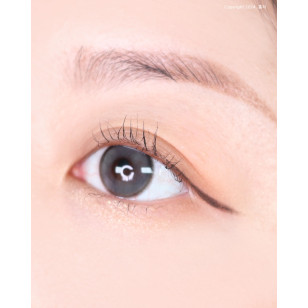 Lenstown Back to Basic DOLCEBABA 백투베이직 돌체바바 애쉬그레이 Ash Gray