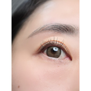 Lenstown Back to Basic DOLCEBABA 백투베이직 돌체바바 애쉬베이지 Ash Beige