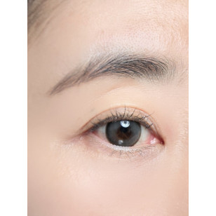 Lenstown Back to Basic DOLCEBABA 백투베이직 돌체바바 애쉬그레이 Ash Gray