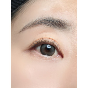 Lenstown Back to Basic DOLCEBABA 백투베이직 돌체바바 애쉬그레이 Ash Gray