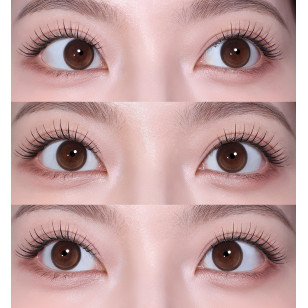 [1Day]FiPN Lucore Fixing Brown 피픈 픽싱 루코어 브라운