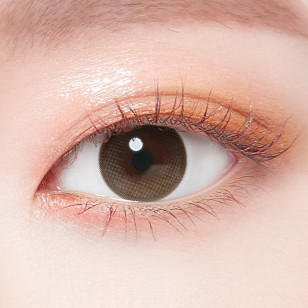 Lenstown Daisy Dream Brown 데이지드림 브라운