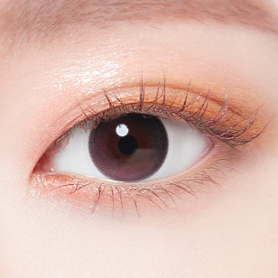Lenstown Daisy Dream Pink 데이지드림 핑크